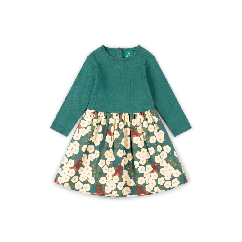 Hedgerow Long Sleeve Twirler Dress by Little Green Radicals