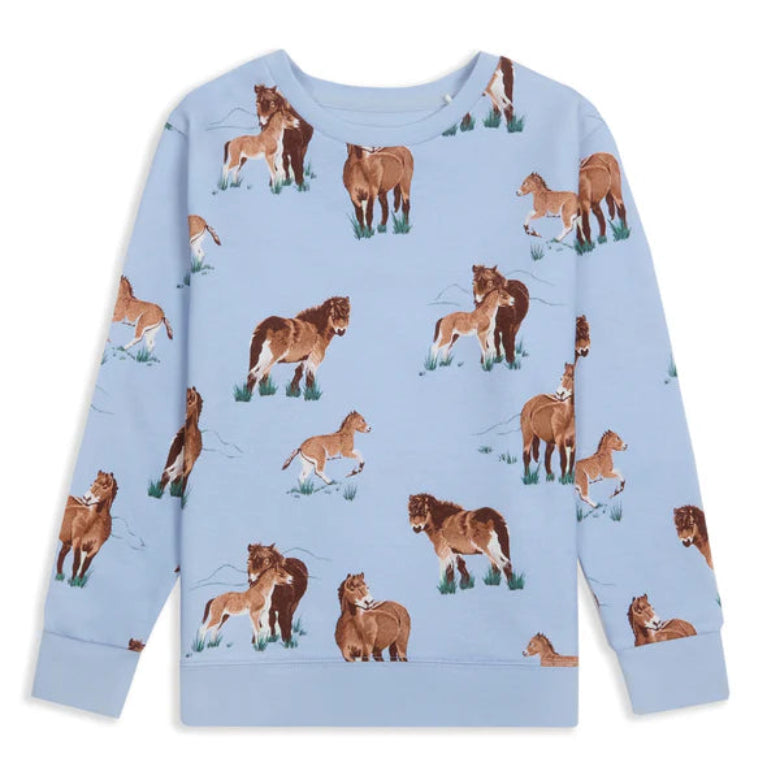 Exmoor Ponies Sweatshirt by MAI