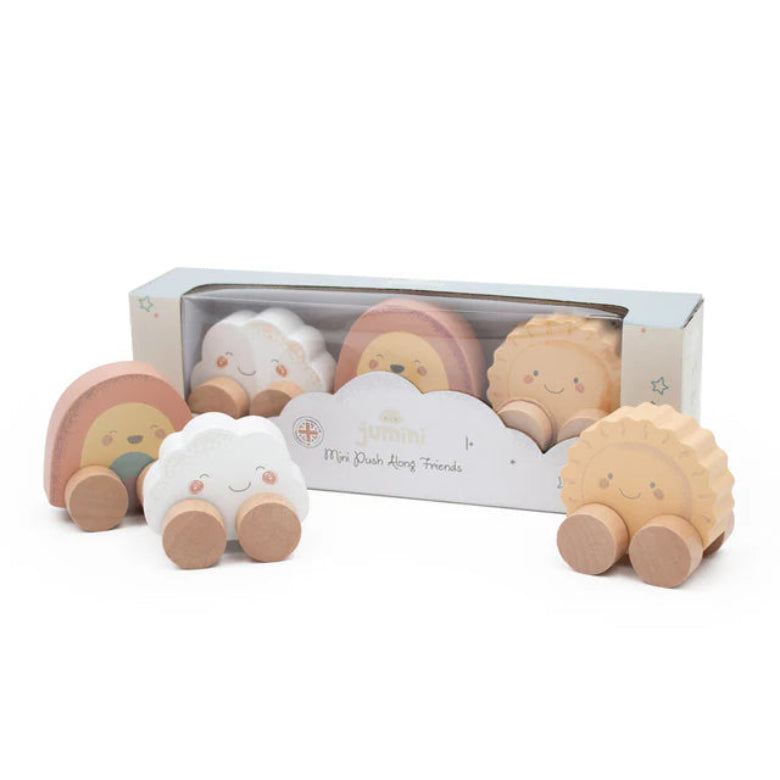 Set of wooden toys shaped like animals in a packaging box on a white background