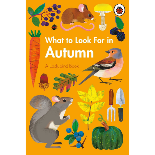 What To Look For In Autumn by Ladybird Books