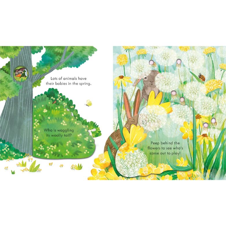 Peep Inside Springtime by Usborne