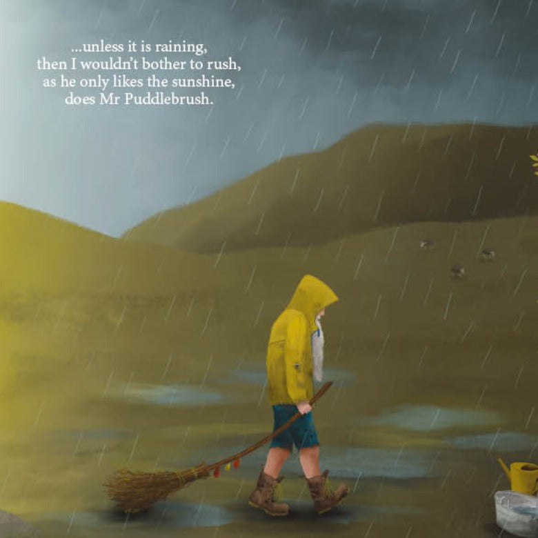 Mr Puddlebrush- A Lake District Tale by Puddlebrush Books