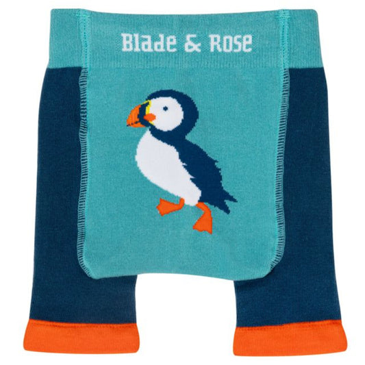 Kenzie The Puffin Shorts by Blade & Rose