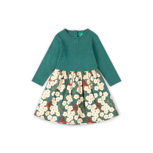 Hedgerow Long Sleeve Twirler Dress by Little Green Radicals