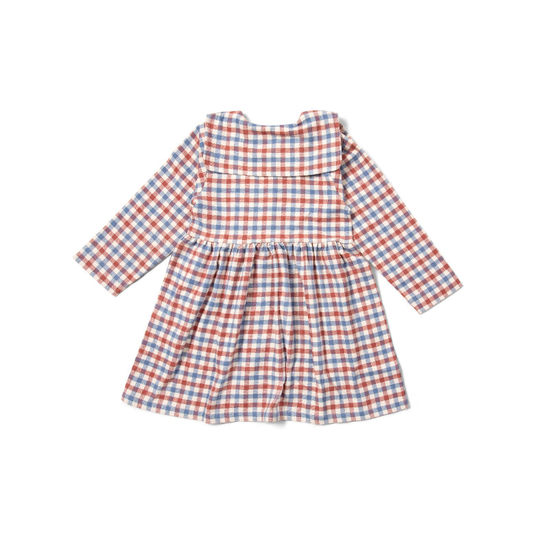 Check Long Sleeved Dress by Little Green Radicals