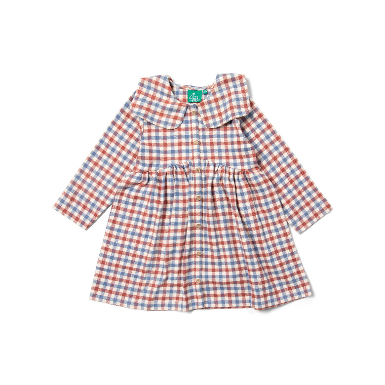 Check Long Sleeved Dress by Little Green Radicals