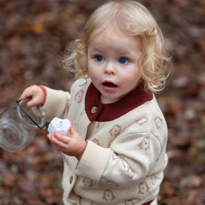 A toddler with blonde curly hair and blue eyes wearing a cream knit sweater with owl patterns and a dark red collar, holding a glass jar outdoors on a background of fallen leaves.