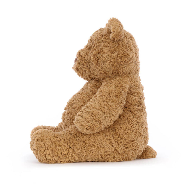 Brown teddy bear sitting on a white background