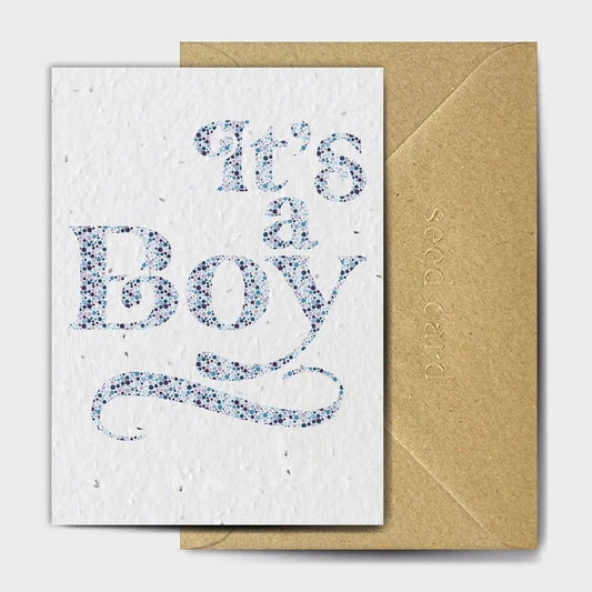 'It's A Boy' Plantable Card