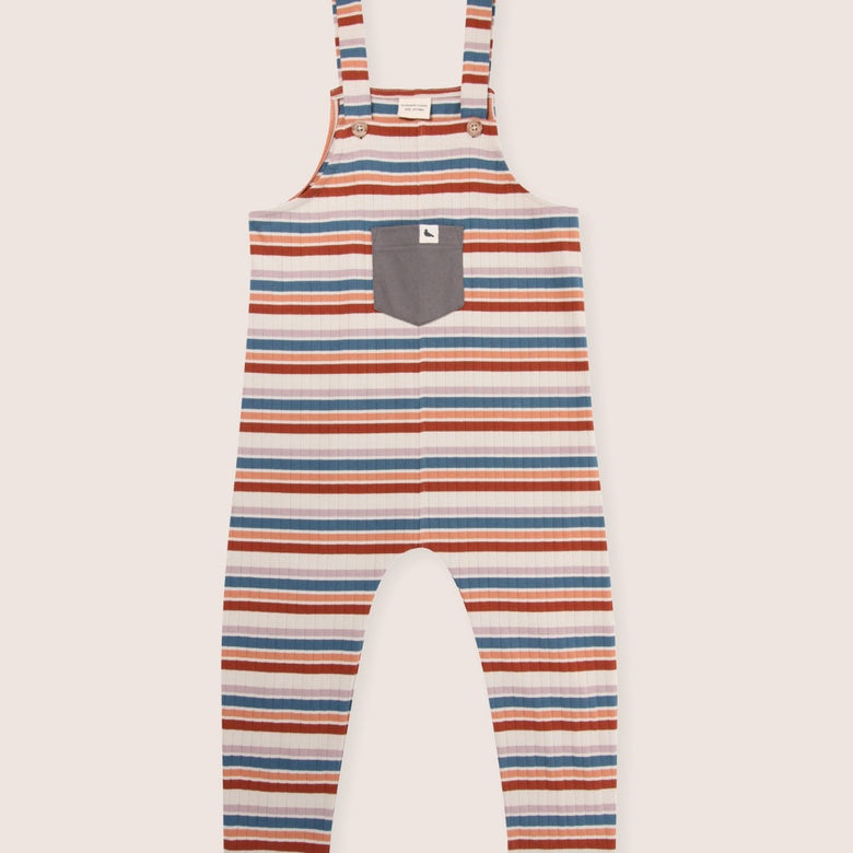 Multicolour Stripe Dungarees by Turtledove