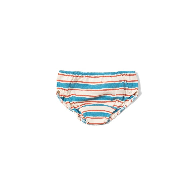 Adventure organic underwear set- 3 pack by Little Green Radicals