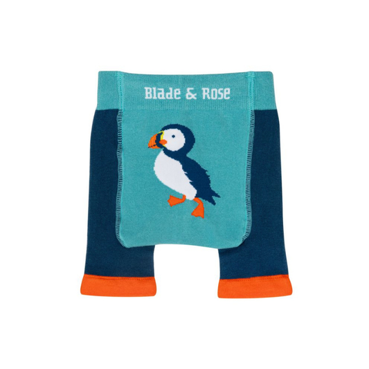 Kenzie The Puffin Shorts by Blade & Rose