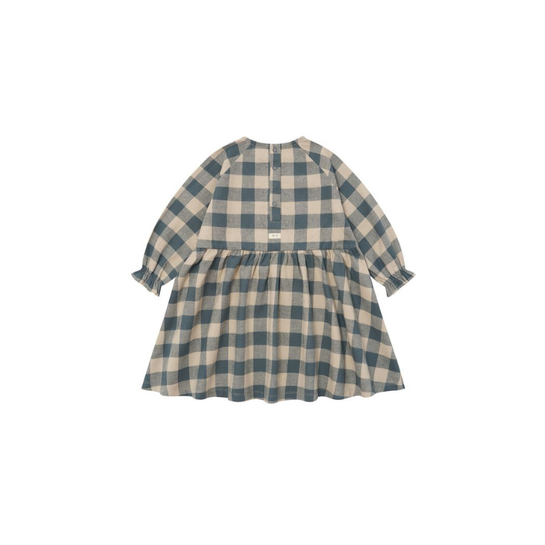 A long-sleeve baby dress with a blue and beige gingham check pattern, featuring a buttoned neckline and a gathered skirt, shown against a plain white background.