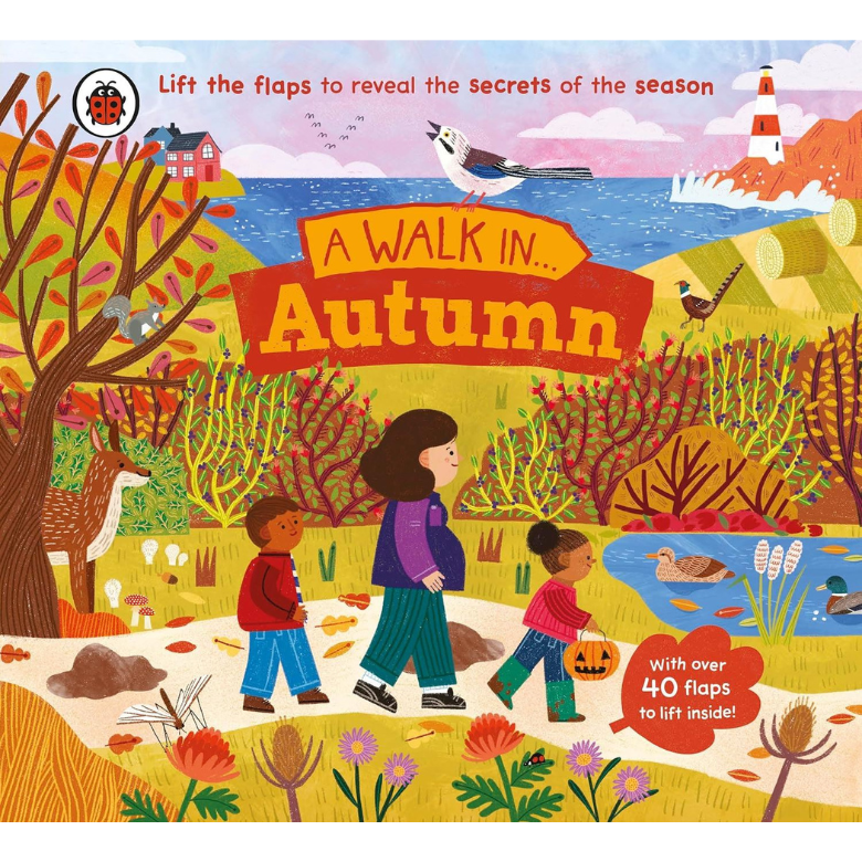 A Walk In Autumn (Lift The Flap) (Board Book)