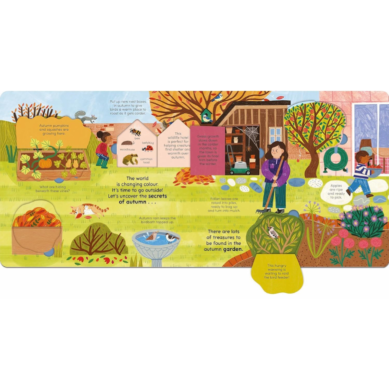 A Walk In Autumn (Lift The Flap) (Board Book)