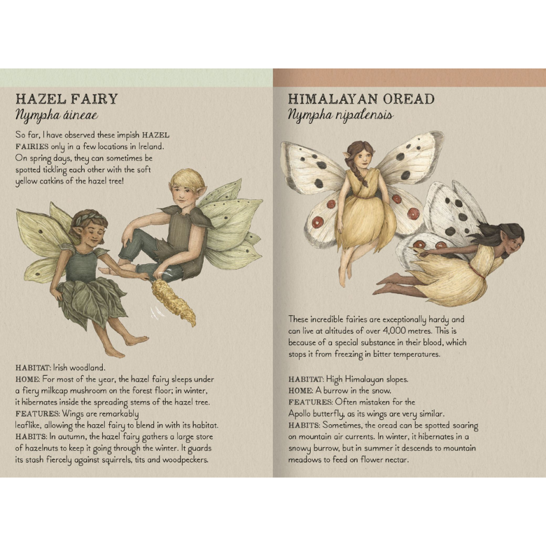 Find The Fairies Memory Game by Kaddo