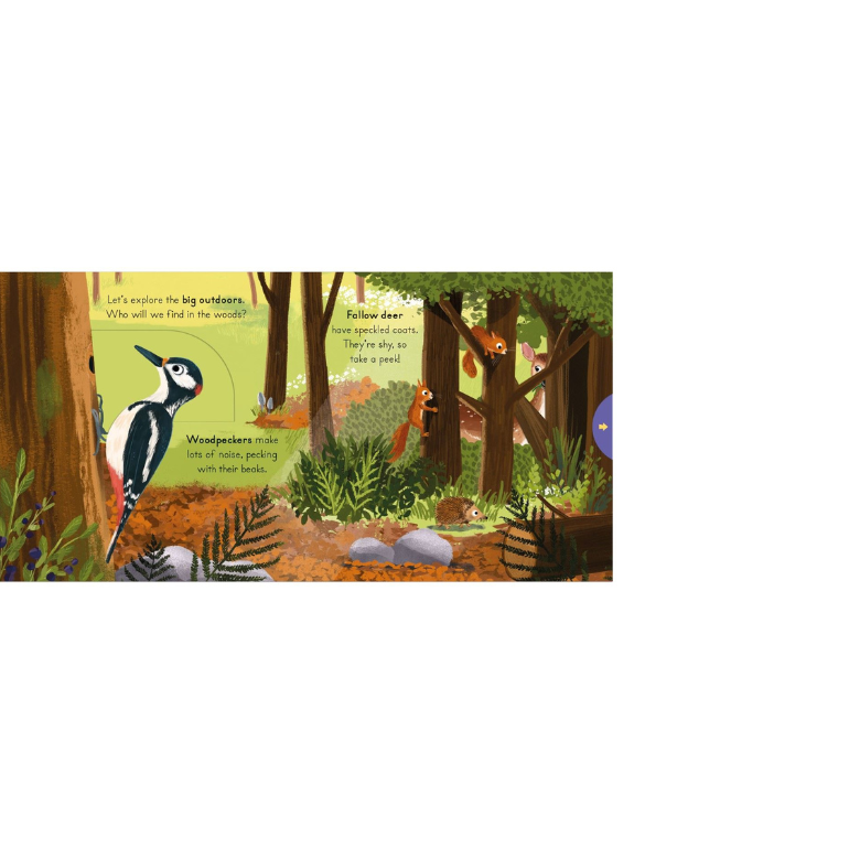 Big Outdoors For Little Explorers Woods Board Book