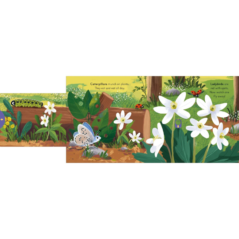 Big Outdoors For Little Explorers Woods Board Book