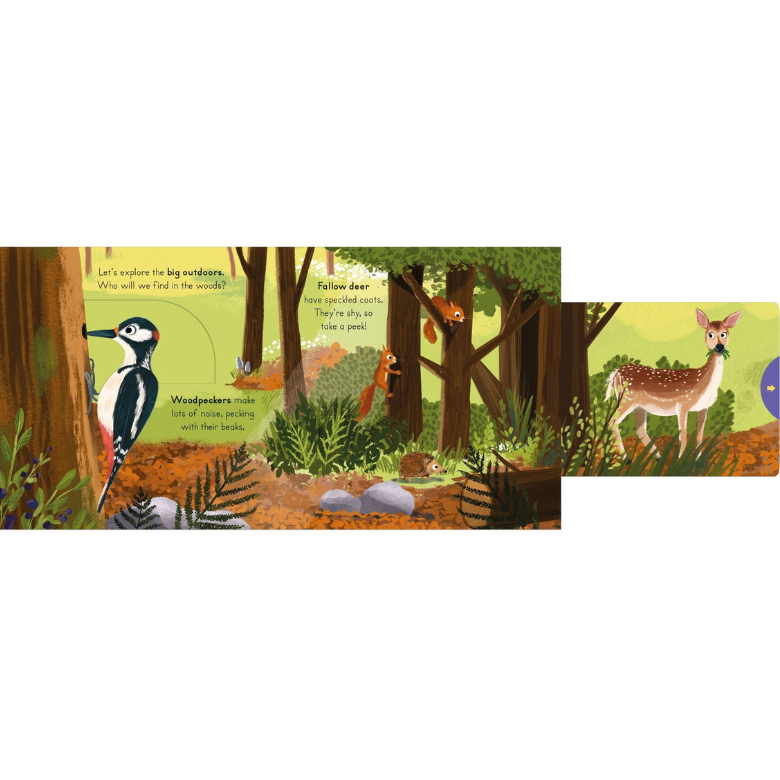 Big Outdoors For Little Explorers Woods Board Book