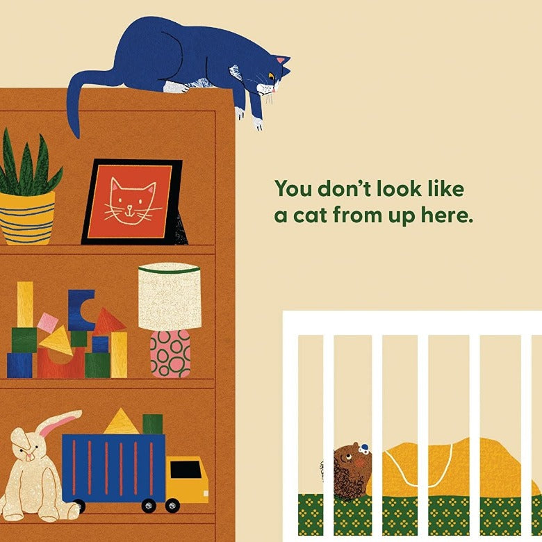 Cat's First Baby (Board Book)