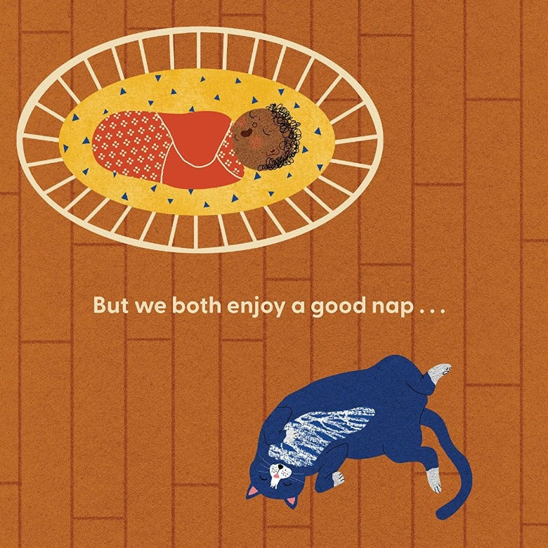 Cat's First Baby (Board Book)