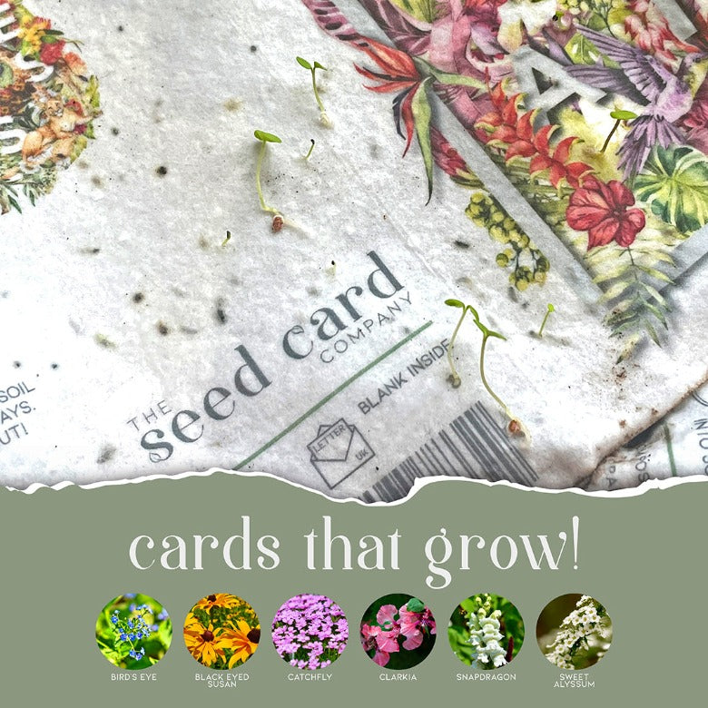 'Congratulations' plantable card